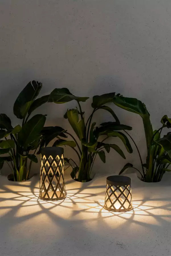 Shadow Borne 25 cm LED – Image 2