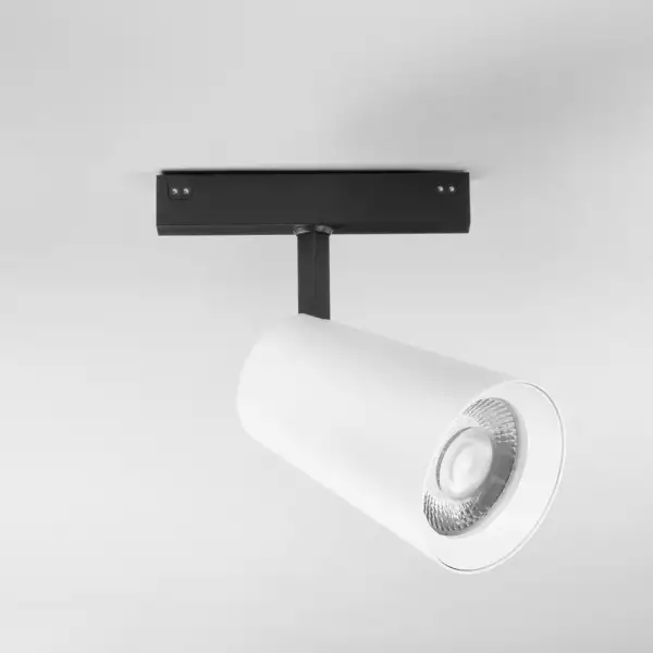 Luminaire sur rail DAVINCI 48V en aluminium blanc 30W lumière chaude 3000K – Image 2