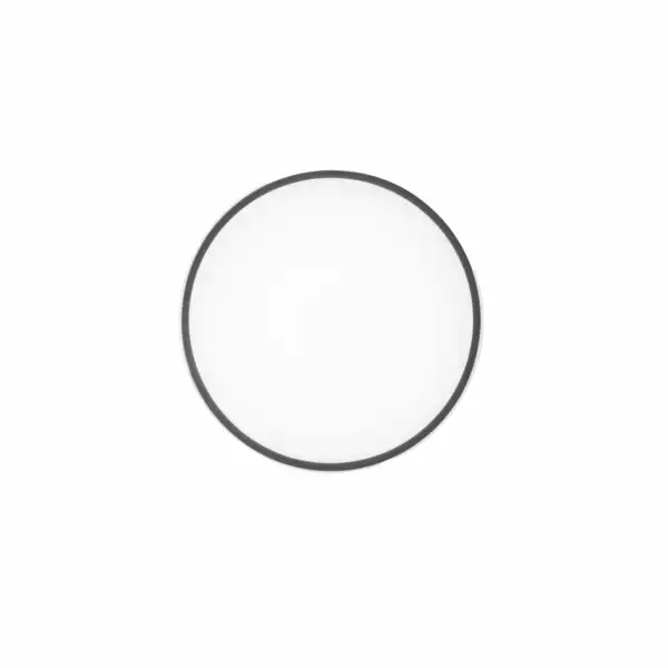 LUCE AMBIENTE E DESIGN Plafonnier LED PANGAEA 22W en métal noir avec fonction CCT 41 cm (Plafonnier / Éclairage intérieur LED)