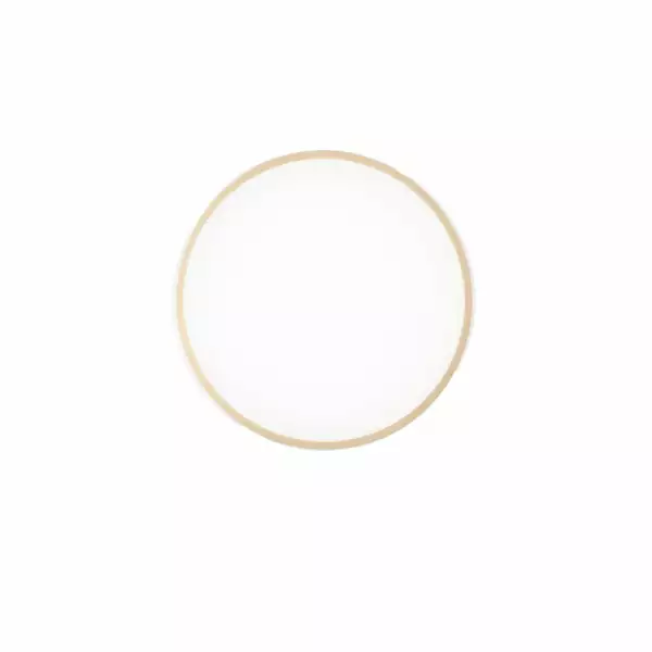 LUCE AMBIENTE E DESIGN Plafonnier LED PANGAEA 22W en métal doré avec fonction CCT 41 cm (Plafonnier / Éclairage intérieur LED)