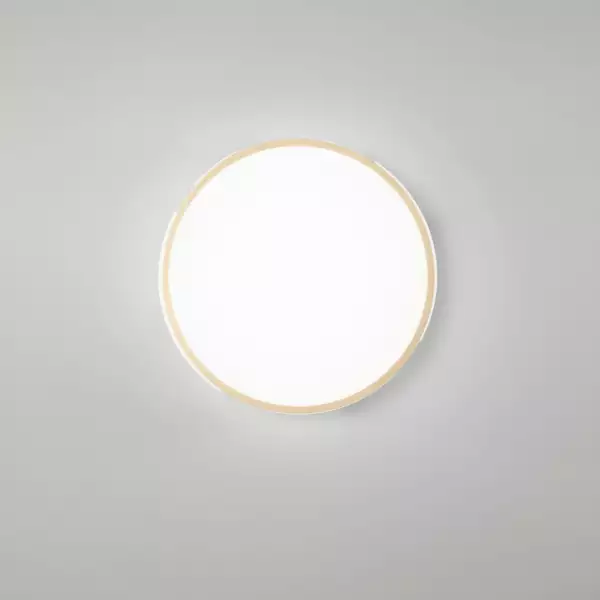 Plafonnier LED PANGAEA 22W en métal doré avec fonction CCT 41 cm – Image 2