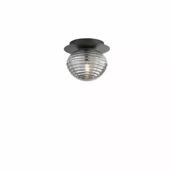 LUCE AMBIENTE E DESIGN Plafonnier Ripple en métal noir avec diffuseur en verre fumé de 20 cm (Plafonnier / Éclairage intérieur LED)