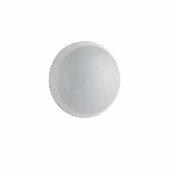 INTEC Plafonnier de secours LED ETERNA blanc 16W 4000K (lumière naturelle) 23,5 cm (Plafonniers étanches / Éclairage extérieur LED)