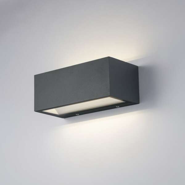 INTEC Applique d'extérieur LED TWIN anthracite avec lumière à double émission 20W 4000K 22 cm (Appliques extérieures / Éclairage extérieur LED)