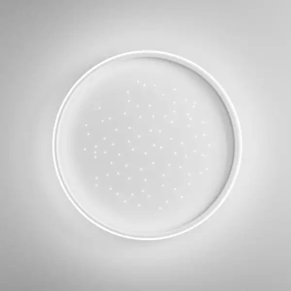Plafonnier LED dimmable WISH 15W CCT avec télécommande 60 cm – Image 2